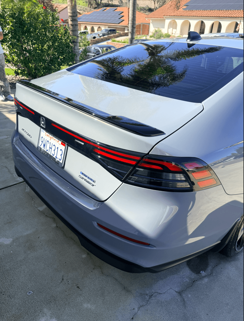 Honda Rear Cleaned detailing result